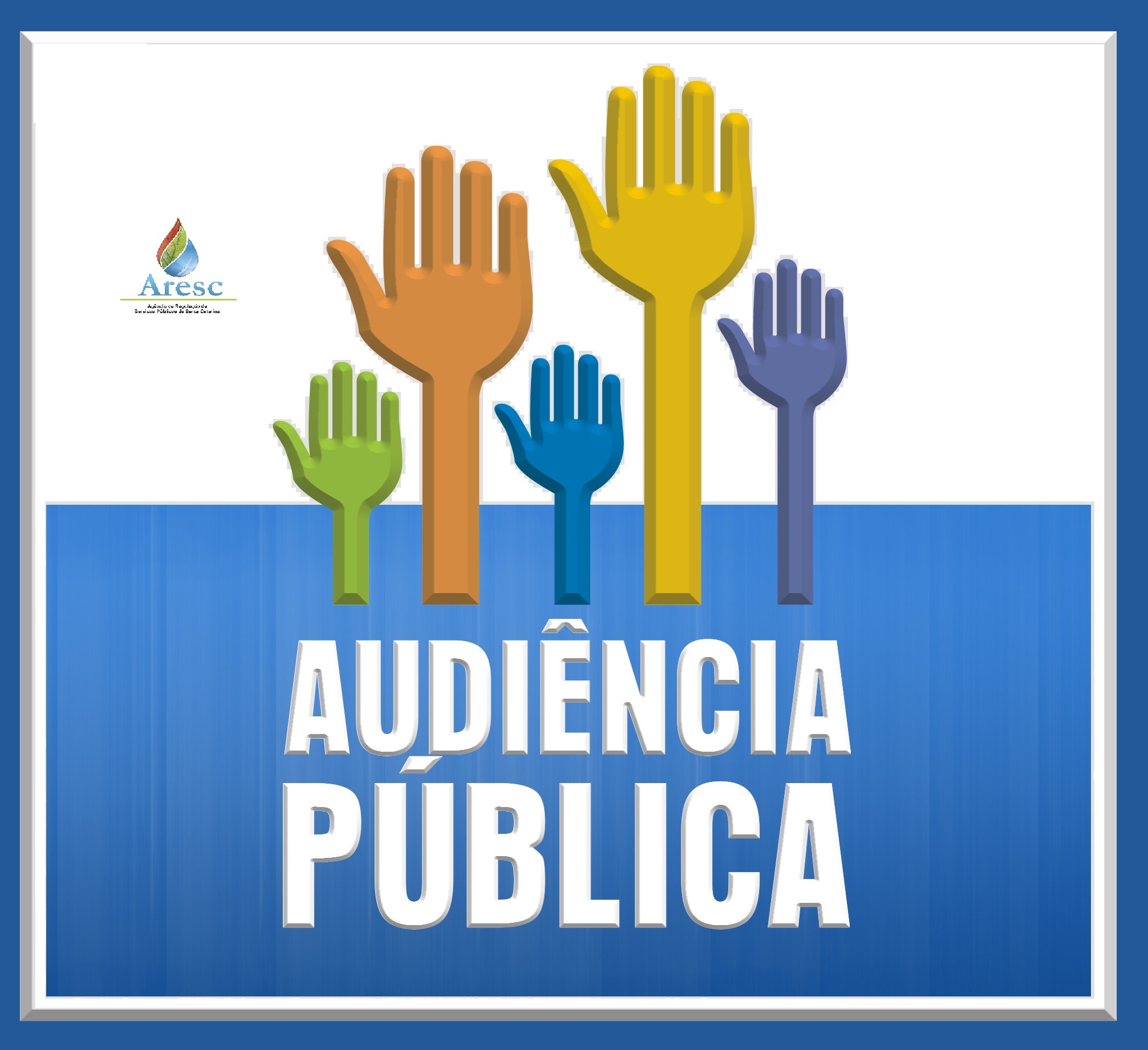 audiencia publica2