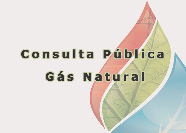 SITE CONSULTA PÚBLICA gas