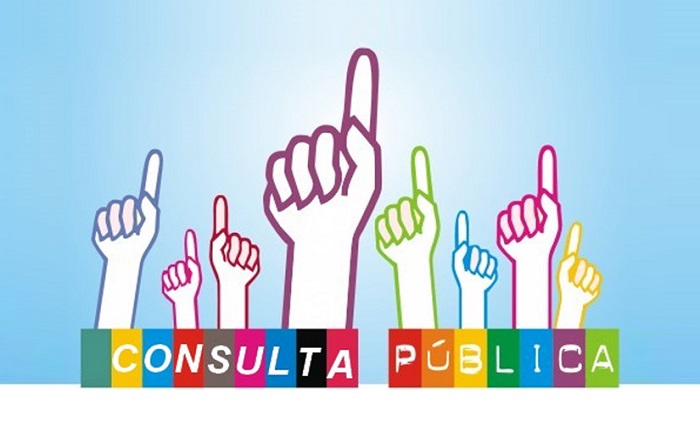 consulta publica 1