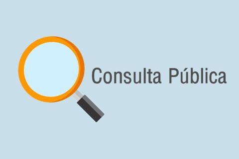 consulta publica2