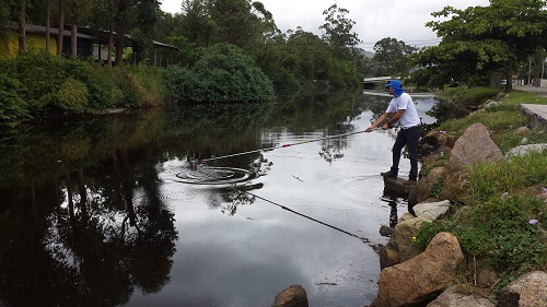 rio brascopia